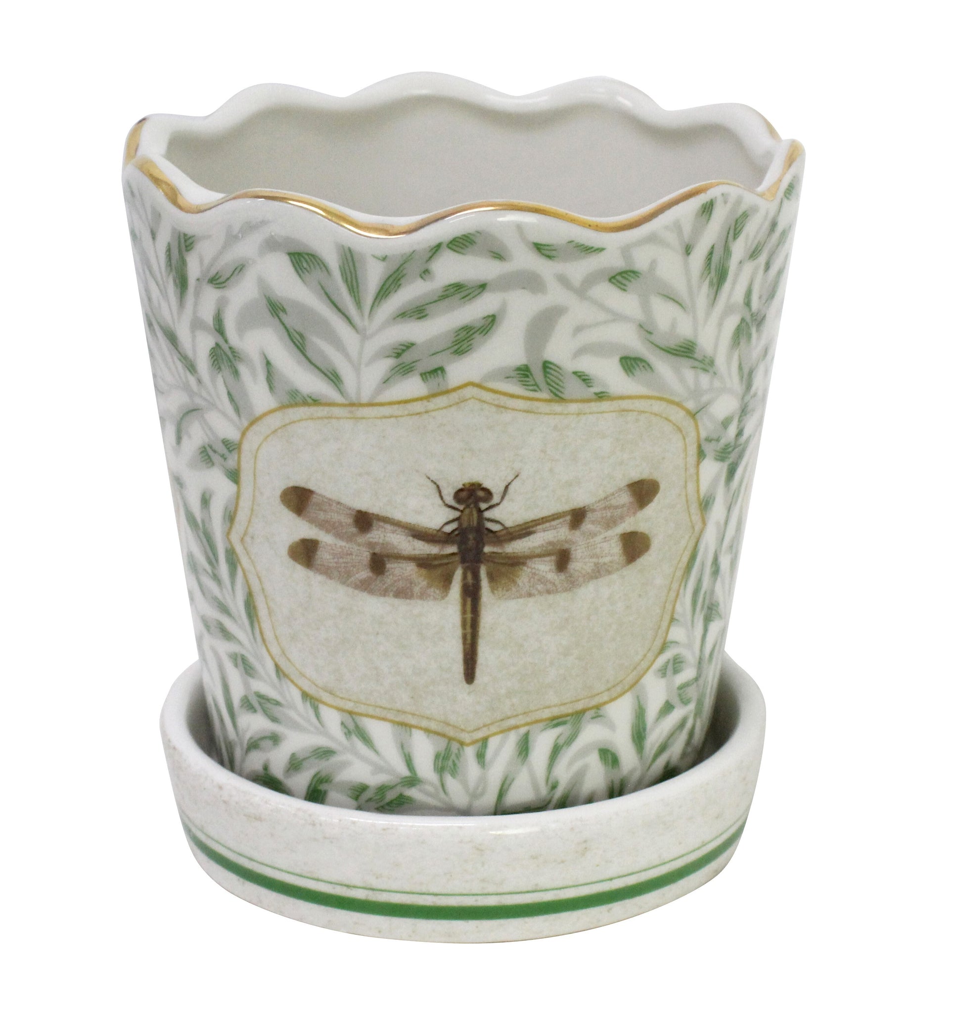 Planter Morris Dragonfly