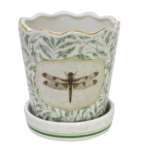 Planter Morris Dragonfly