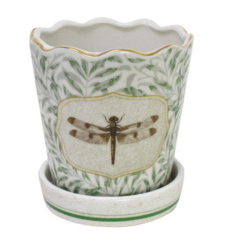 Planter Morris Dragonfly