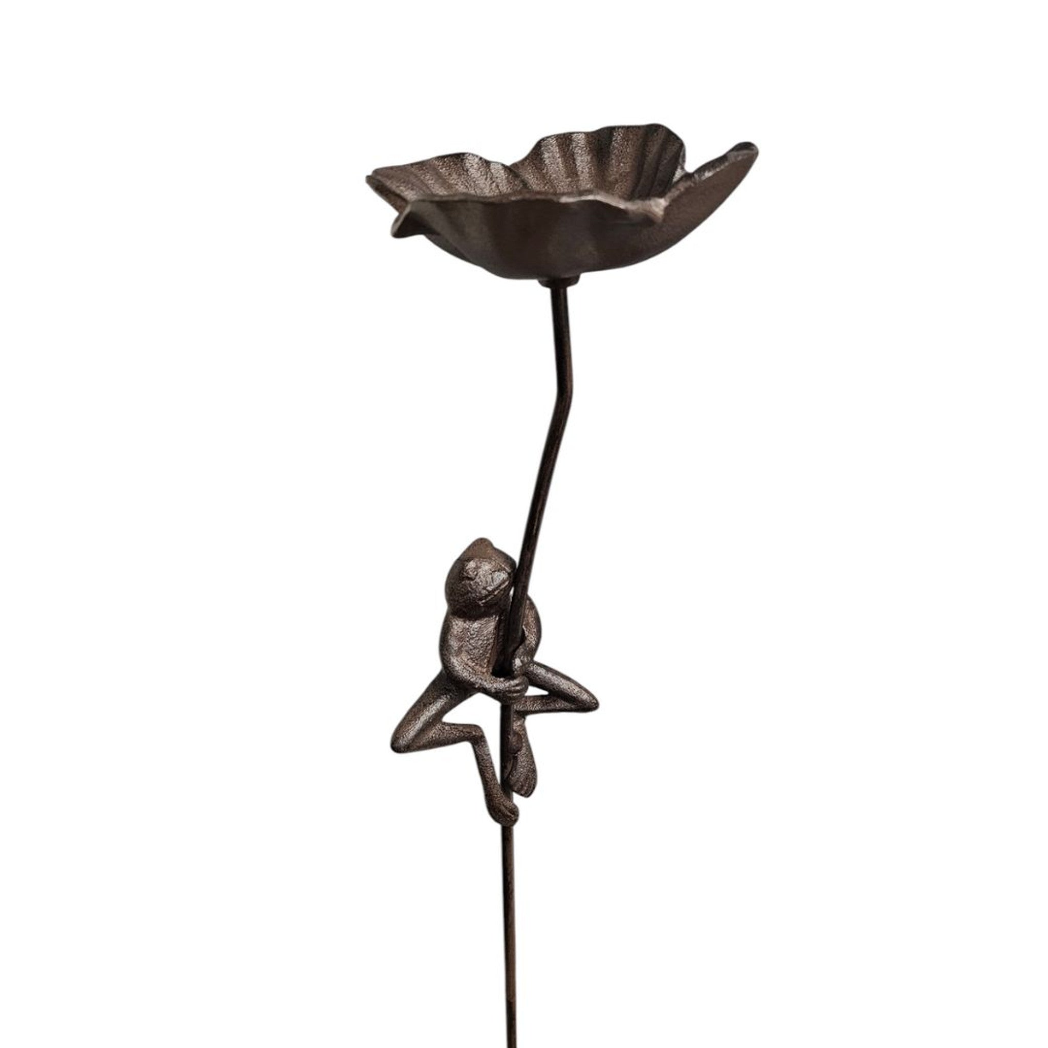 Frog Stake Birdfeeder