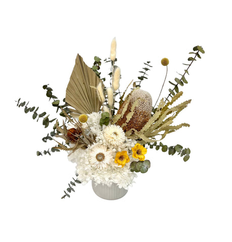 Everlasting Banksia and Daisy Arrangment in White Pot