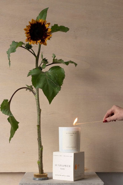 Sunflower Candle | Australian Myrtle + Amber