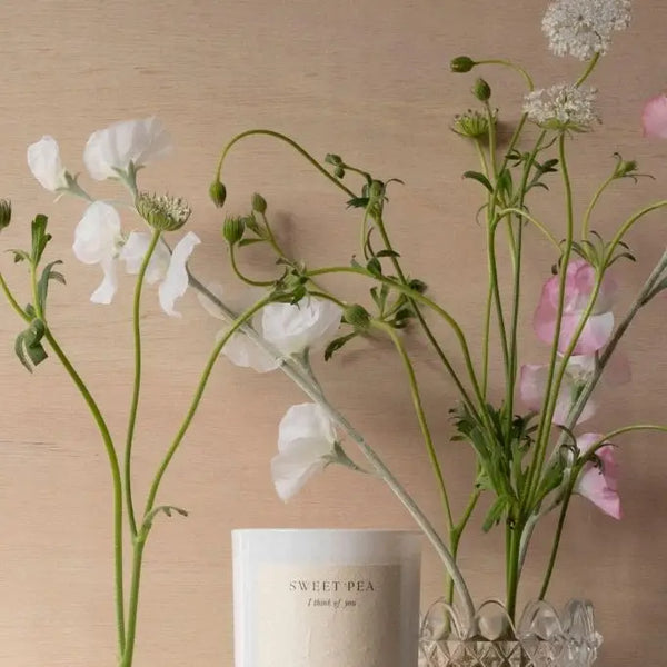 Sweet Pea Candle | Sweet Pea + Vanilla Creme