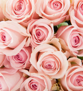 Half Dozen Rose Bouquet